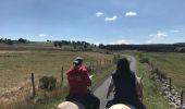 Trail Equestrian Prinsuéjols-Malbouzon - Aubrac 2017  - jour 6 (suite et fin) - Photo 7