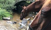 Tour Pferd Trélans - Aubrac 2017 - jour 5 - Photo 3