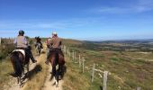 Tour Pferd Mont Lozère et Goulet - Le Chalet du Mont Lozère - Auriac  - Photo 1