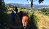 Trail Equestrian Mont Lozère et Goulet - Le Chalet du Mont Lozère - Auriac  - Photo 16