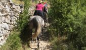 Tocht Paard Gorges du Tarn Causses - Nissoulorgues-L'Hom - Photo 16