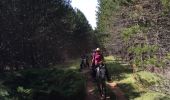 Randonnée Cheval Gorges du Tarn Causses - Nissoulorgues-L'Hom - Photo 8