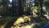 Tocht Fiets Saint-Viâtre - route des etangs - Photo 1