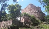 Excursión Senderismo Grendelbruch - Le Guirbaden, le plus grand des châteaux forts - Photo 13