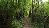 Tour Wandern Coulommiers - Au Nord de Coulommiers  - Photo 12