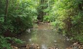 Tocht Stappen Coulommiers - Au Nord de Coulommiers  - Photo 11