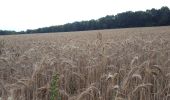 Randonnée Marche Coulommiers - Au Nord de Coulommiers  - Photo 9