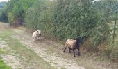 Trail Walking Coulommiers - Au Nord de Coulommiers  - Photo 2