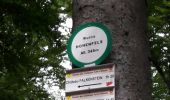 Trail Walking Niederbronn-les-Bains - 67 NIEDERBRONN  - Photo 5