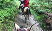 Tocht Paard Florenville - Transsemoisienne 2017 tracé 2eme jour - Photo 18