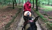 Randonnée Cheval Florenville - Transsemoisienne 2017 tracé 2eme jour - Photo 17