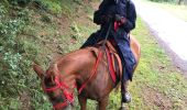 Tocht Paard Florenville - Transsemoisienne 2017 tracé 2eme jour - Photo 16