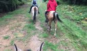 Percorso Cavallo Florenville - Transsemoisienne 2017 tracé 2eme jour - Photo 13