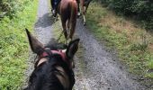 Tocht Paard Florenville - Transsemoisienne 2017 tracé 2eme jour - Photo 5