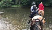 Percorso Cavallo Florenville - Transsemoisienne 2017 tracé 2eme jour - Photo 3