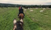 Randonnée Cheval Florenville - Transsemoisienne 2017 tracé 2eme jour - Photo 1