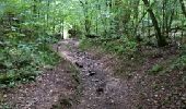 Trail Walking Houyet - GENDRON-CELLES (Echelles) - Photo 6