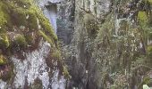 Tocht Stappen Samoëns - Samoëns vers les gorges de Tines - Photo 1