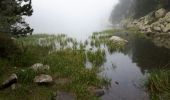 Randonnée Marche Les Angles - Tour du Mt Llaret Estany Balmeta et Lac d'Aude - Photo 10