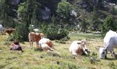 Randonnée Marche Les Angles - Tour du Mt Llaret Estany Balmeta et Lac d'Aude - Photo 3