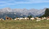 Tocht Stappen Molines-en-Queyras - mont Bûcher - Photo 4