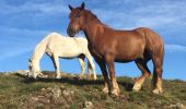 Tocht Stappen Mont-Louis - forteresses de Vauban. Depuis M'ont-Louis 66 - Photo 4