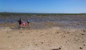 Randonnée V.T.T. Le Bois-Plage-en-Ré - Bois plage en Ré, la couarde 25km  - Photo 2