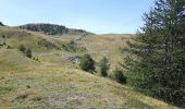 Tocht Stappen Réallon - col de la gardette - Photo 3