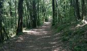 Trail Walking Rocamadour - gouffres de Rocamadour - Photo 9