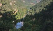 Randonnée Autre activité Massegros Causses Gorges - Atlamed Les Vignes - St Pierre des Tripiers - Photo 8