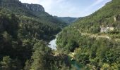 Trail Other activity Massegros Causses Gorges - Atlamed Les Vignes - St Pierre des Tripiers - Photo 6