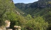 Trail Other activity Massegros Causses Gorges - Atlamed Les Vignes - St Pierre des Tripiers - Photo 1