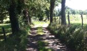 Trail Walking Livinhac-le-Haut - Livinhac le Haut vers Figeac - Photo 1