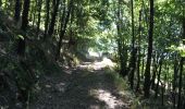 Randonnée Marche Conques-en-Rouergue - Les Pelies La Vinzelle : boucle rapide - Photo 7