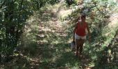Trail Walking Conques-en-Rouergue - Les Pelies La Vinzelle : boucle rapide - Photo 4