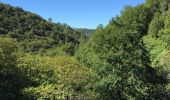 Trail Walking Conques-en-Rouergue - Les Pelies La Vinzelle : boucle rapide - Photo 19