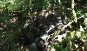 Trail Walking Conques-en-Rouergue - Les Pelies La Vinzelle : boucle rapide - Photo 17