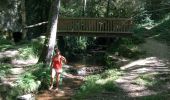 Trail Walking Conques-en-Rouergue - Les Pelies La Vinzelle : boucle rapide - Photo 13