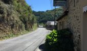 Tour Wandern Conques-en-Rouergue - Les Pelies La Vinzelle : boucle rapide - Photo 10