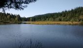Trail Walking Xonrupt-Longemer - 23-08-17 Lac Longemer - Lispach - Photo 3