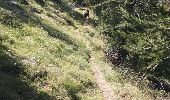 Trail Walking Montclar - boucle St Jean Montclar - Fort de Dormillouse - Photo 12