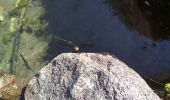 Tour Wandern Le Haut-Bréda - lac du leat - Photo 1