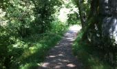 Trail Walking Gramat - Gramat vers Rocamadour  - Photo 6