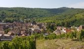 Randonnée Marche Andlau - Château du Haut-Andlau et Château de Spesbourg - Photo 5