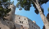 Tocht Stappen Andlau - Château du Haut-Andlau et Château de Spesbourg - Photo 3