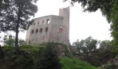 Tour Wandern Barr - Les trois châteaux sur les hauteurs de Barr - Photo 11