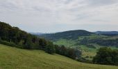 Trail Cycle Clos du Doubs - St.Ursanne - Basel (Jura Suisse) - Photo 7