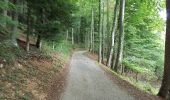 Trail Cycle Clos du Doubs - St.Ursanne - Basel (Jura Suisse) - Photo 3