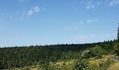 Tour Fahrrad Mont-Dore - Boucle Mont Dore par La tour d'Auvergne et Chastreix - Photo 2