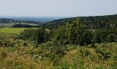 Percorso Bicicletta Mont-Dore - Boucle Mont Dore par La tour d'Auvergne et Chastreix - Photo 1